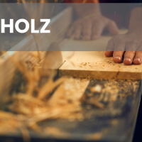 Holz