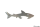 Flaschenöffner