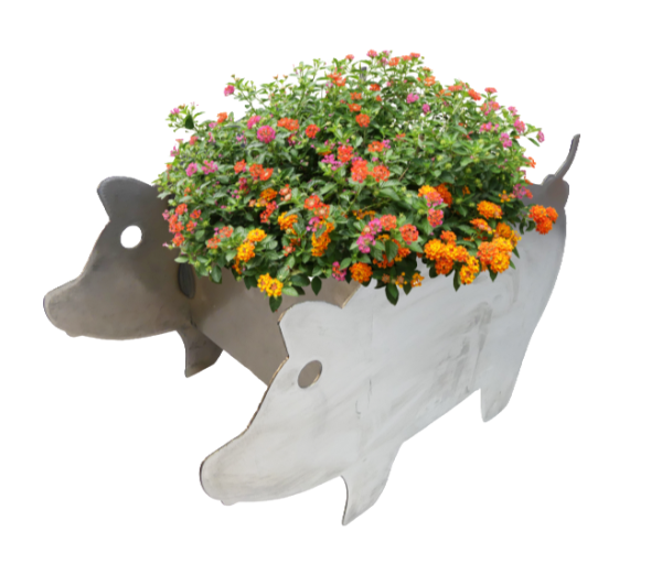 Pflanzschwein