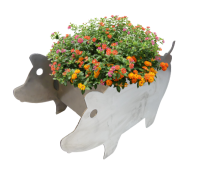 Pflanzschwein