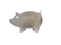 Pflanzschwein