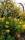 Gartenstecker Herz