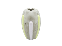 Vantulpa